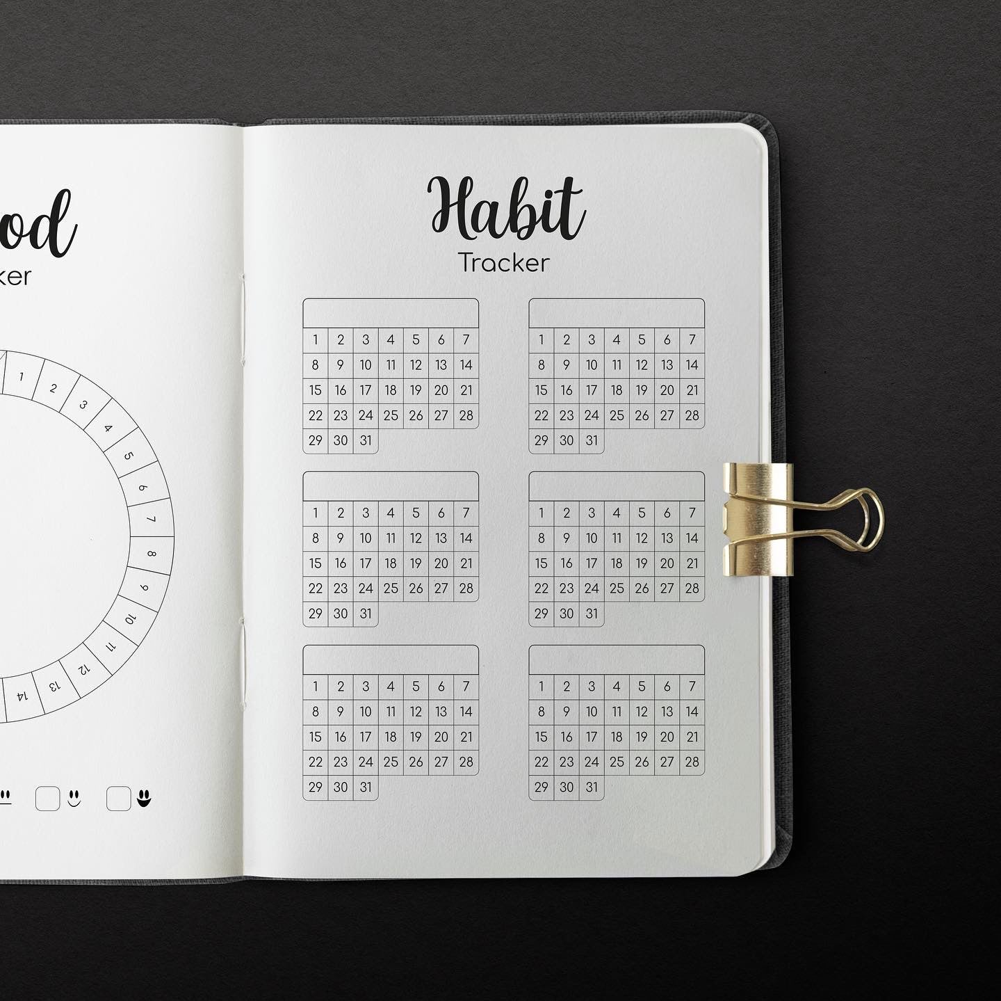 Agenda Personalizable Diseño Bullet Journal - Rosa Globo Aeróstatico