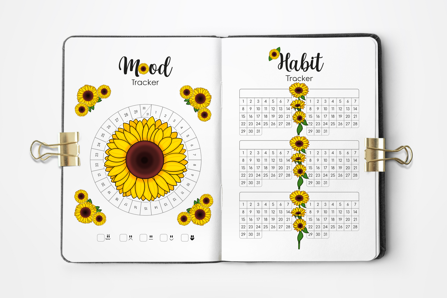 Agenda Personalizable Diseño Bullet Journal - Rosa Globo Aeróstatico